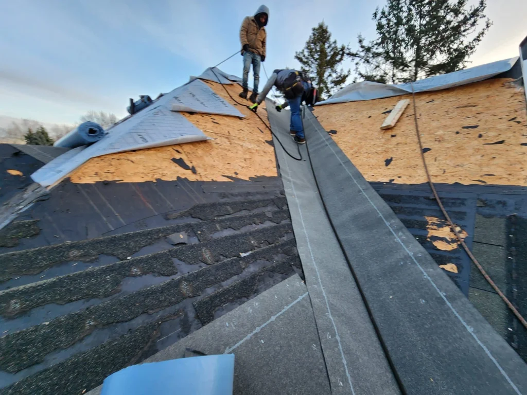 5 Star Plymouth MN Roof Replacement